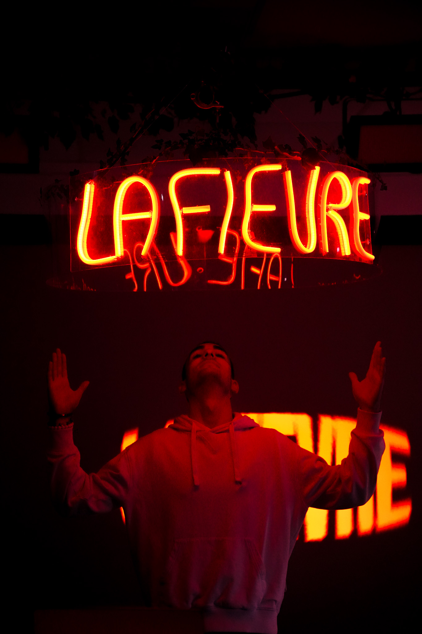 La Fièvre